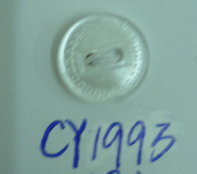 CY1993