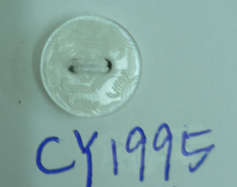 CY1995