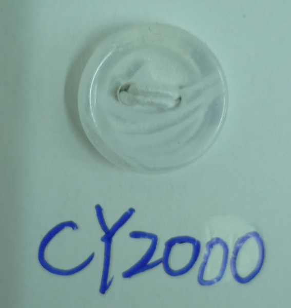 CY2000