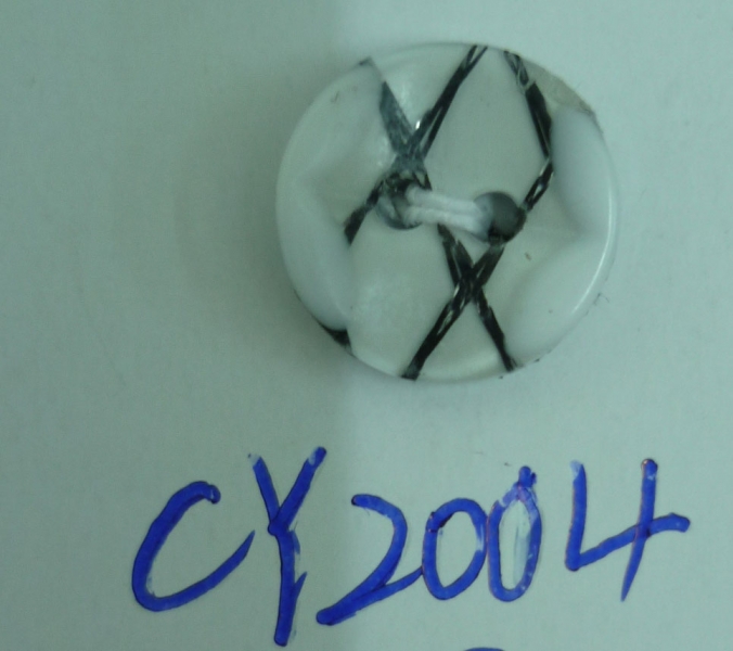 CY2004