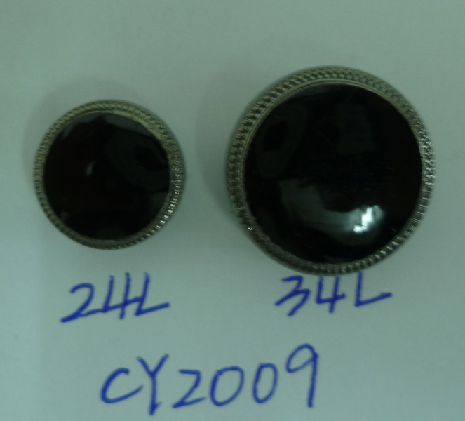 CY2009