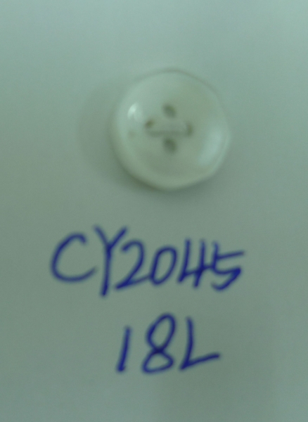 CY2045