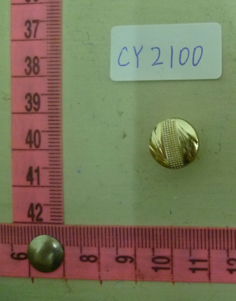 CY2100