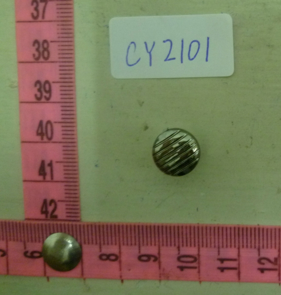 CY2101