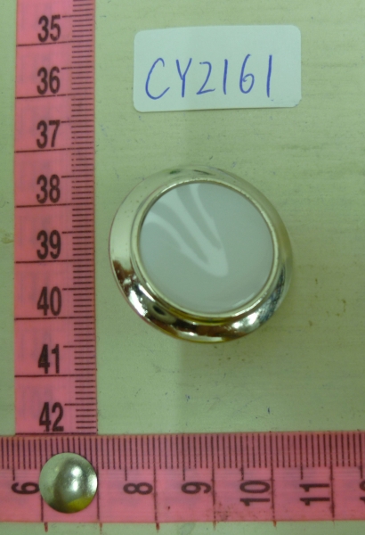 CY2161