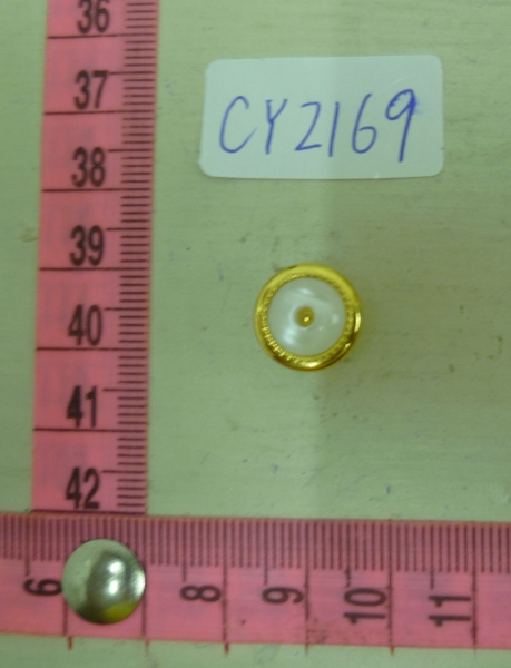 CY2169