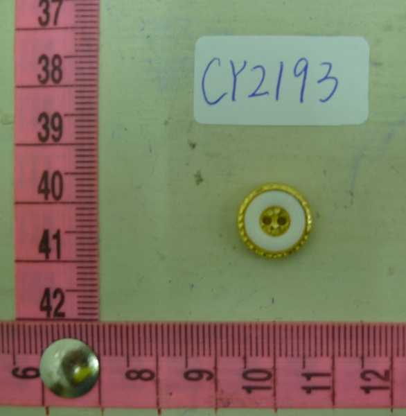 CY2193
