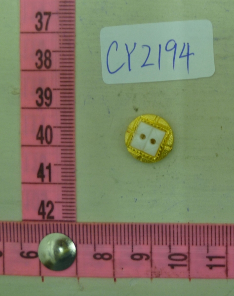 CY2194