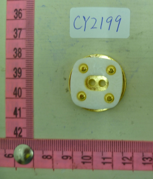 CY2199