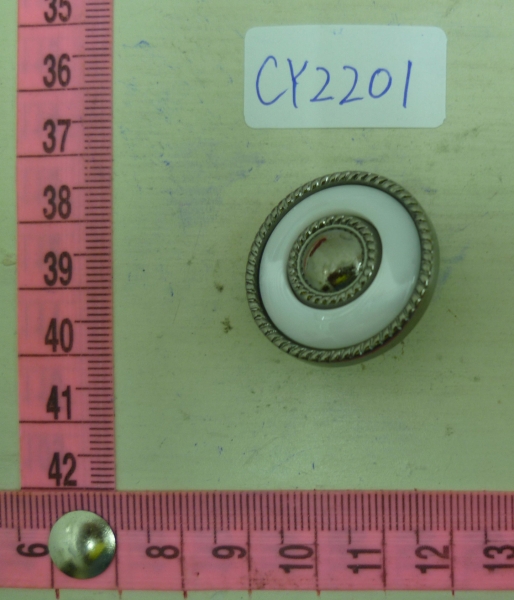 CY2201