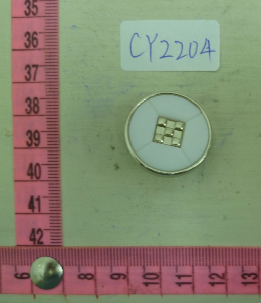 CY2204