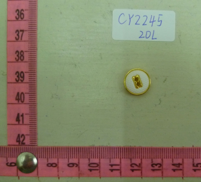 CY2245