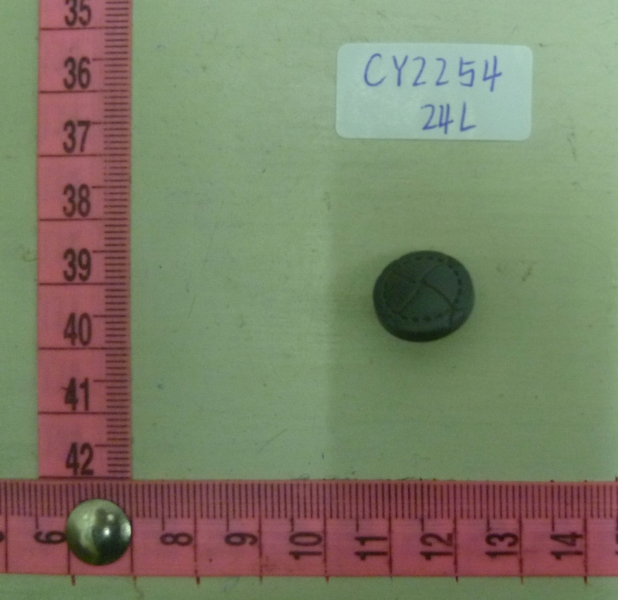 CY2254