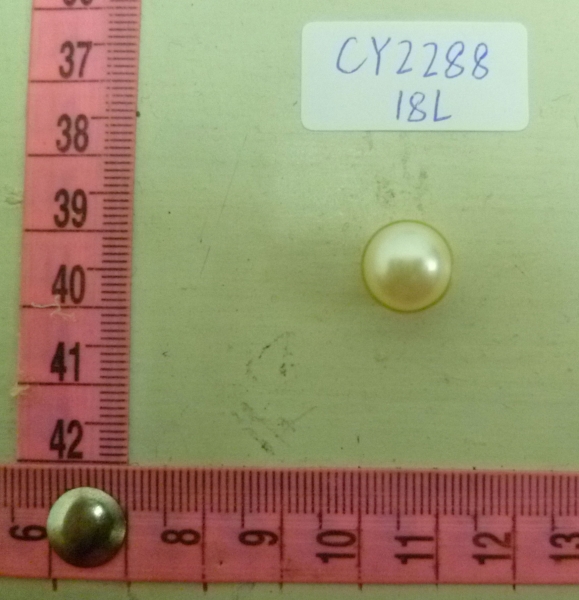 CY2288