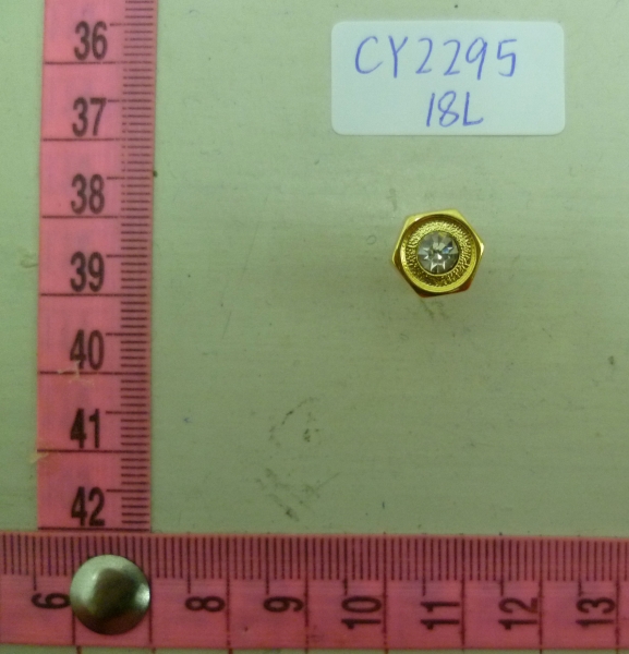 CY2295