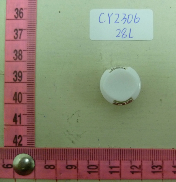 CY2306
