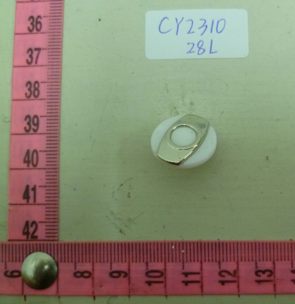 CY2310