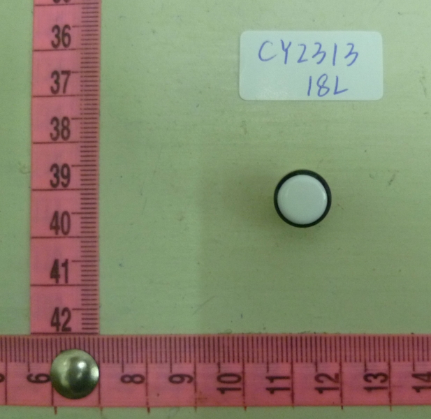 CY2313