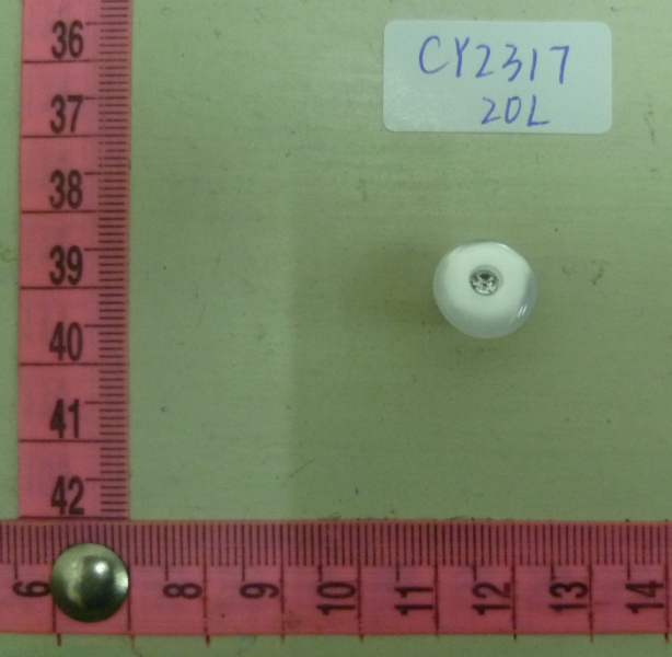CY2317