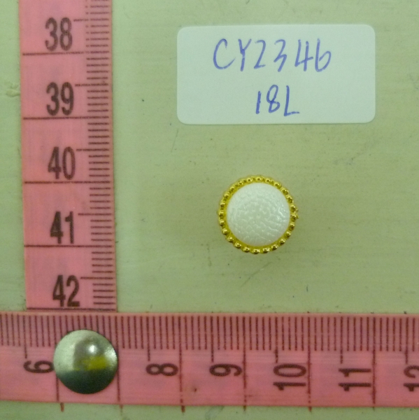 CY2346