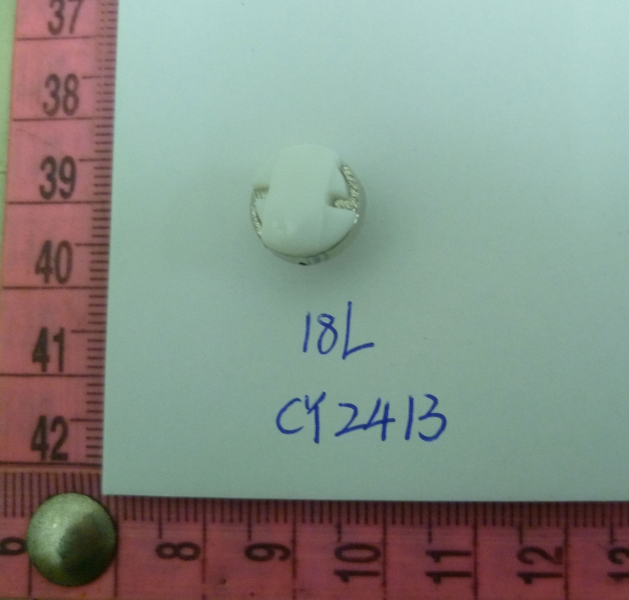 CY2413