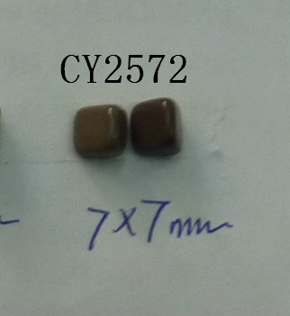 CY2572