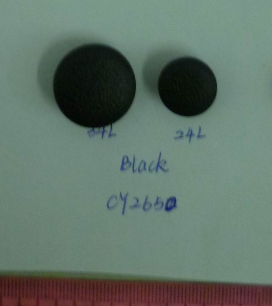 CY2650