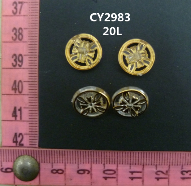CY2983