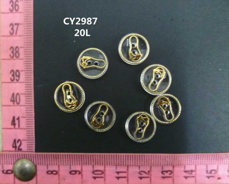 CY2987
