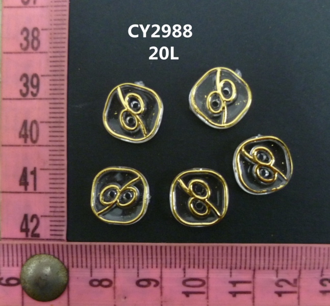 CY2988