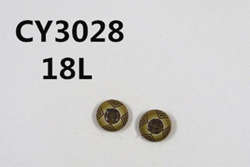 CY3028