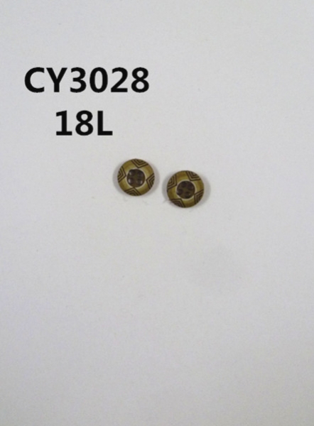 CY3028