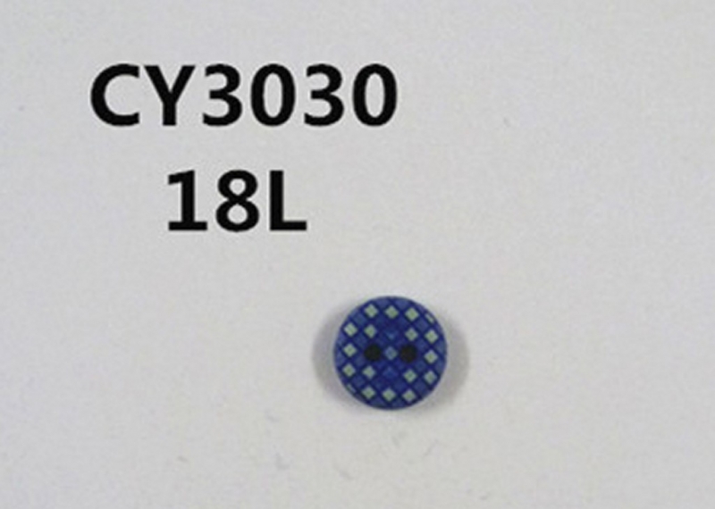 CY3030
