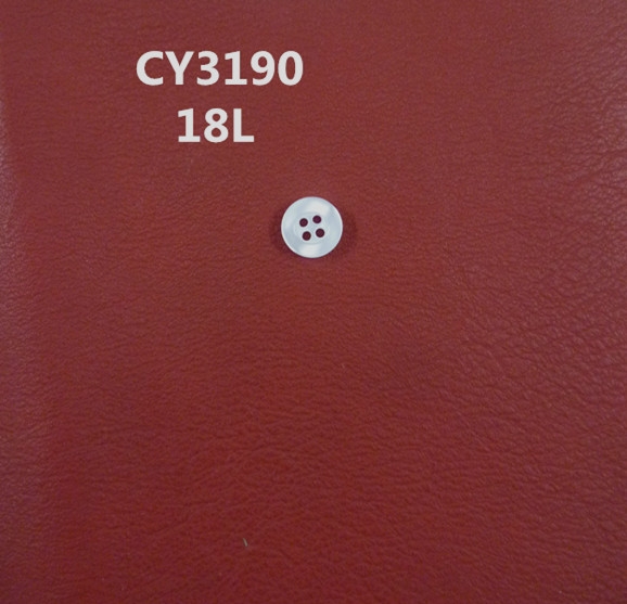 CY3190