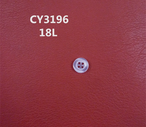 CY3196