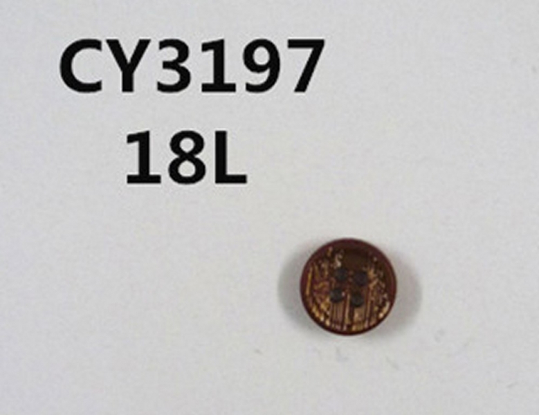 CY3197