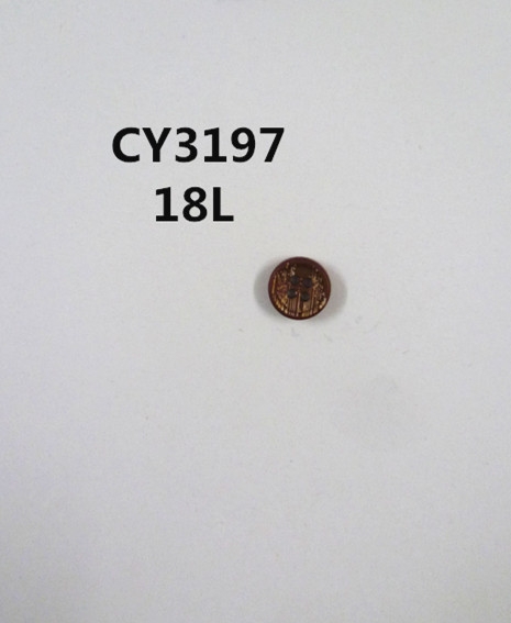 CY3197