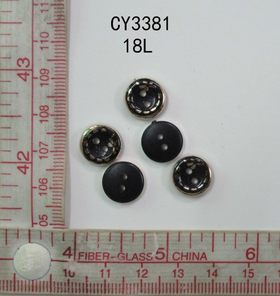 CY3381