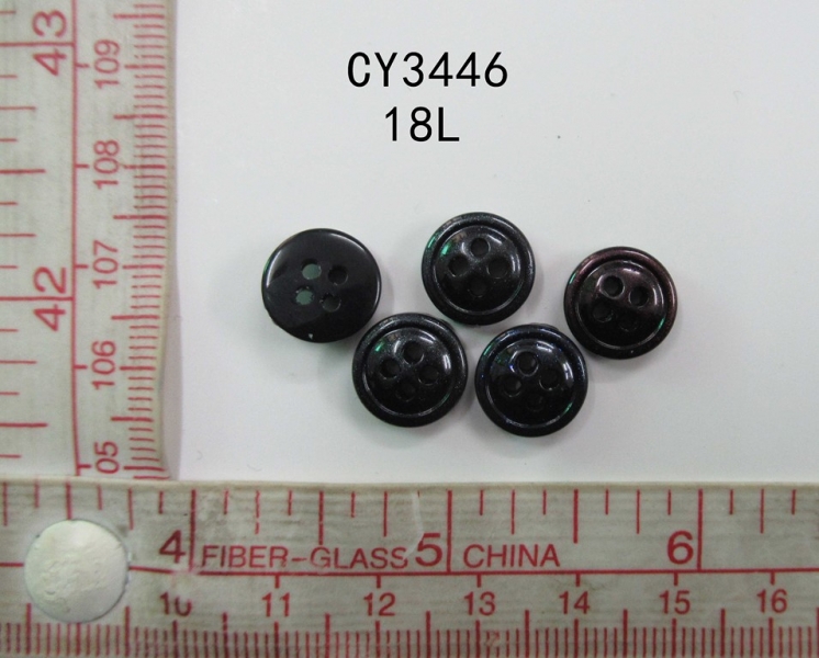 CY3446