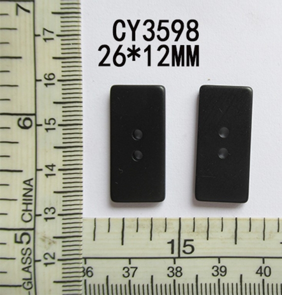 CY3598