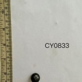 CY0833