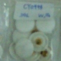 CY0998