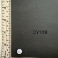 CY1119