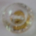 CY1660
