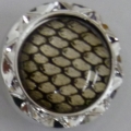 CY1748