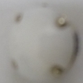 CY1758