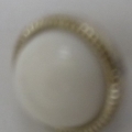 CY1787