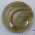 CY1848