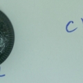 CY1901