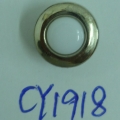 CY1918
